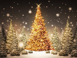 Nastrojowych i Radosnych Świąt Bożego Narodzenia oraz samych szczęśliwych zdarzeń w nadchodzącym Nowym Roku życzy Adwokat Wojciech Kała